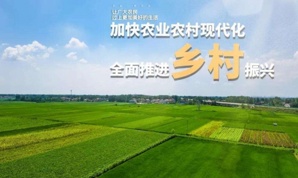 乡村产业发展  乡村振兴  三农