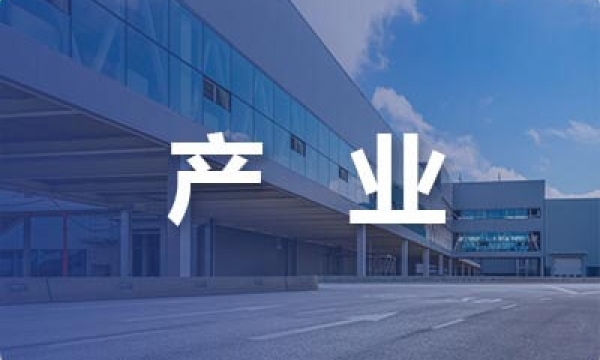 产业研究  产业集群