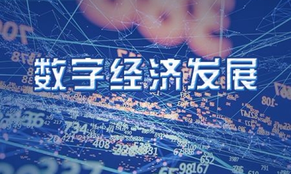 数字经济  数字产业