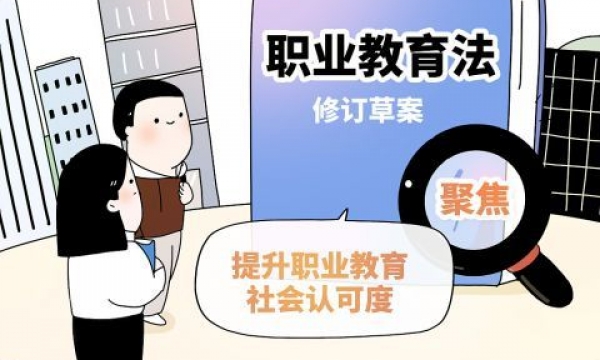 职业教育法